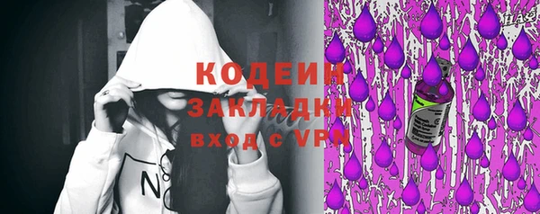 индика Вязники